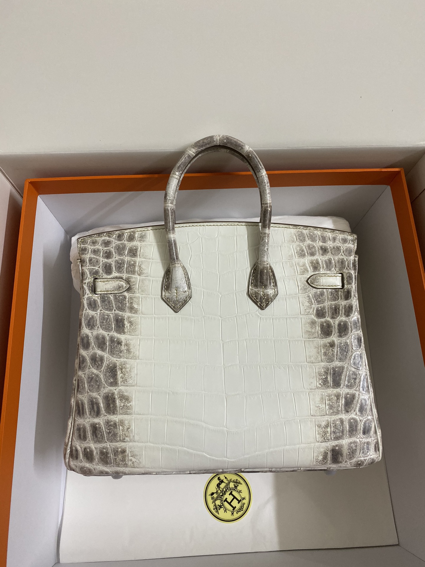 Hermes Himalayan Birkin 25CM Niloticus Crocodile Skin